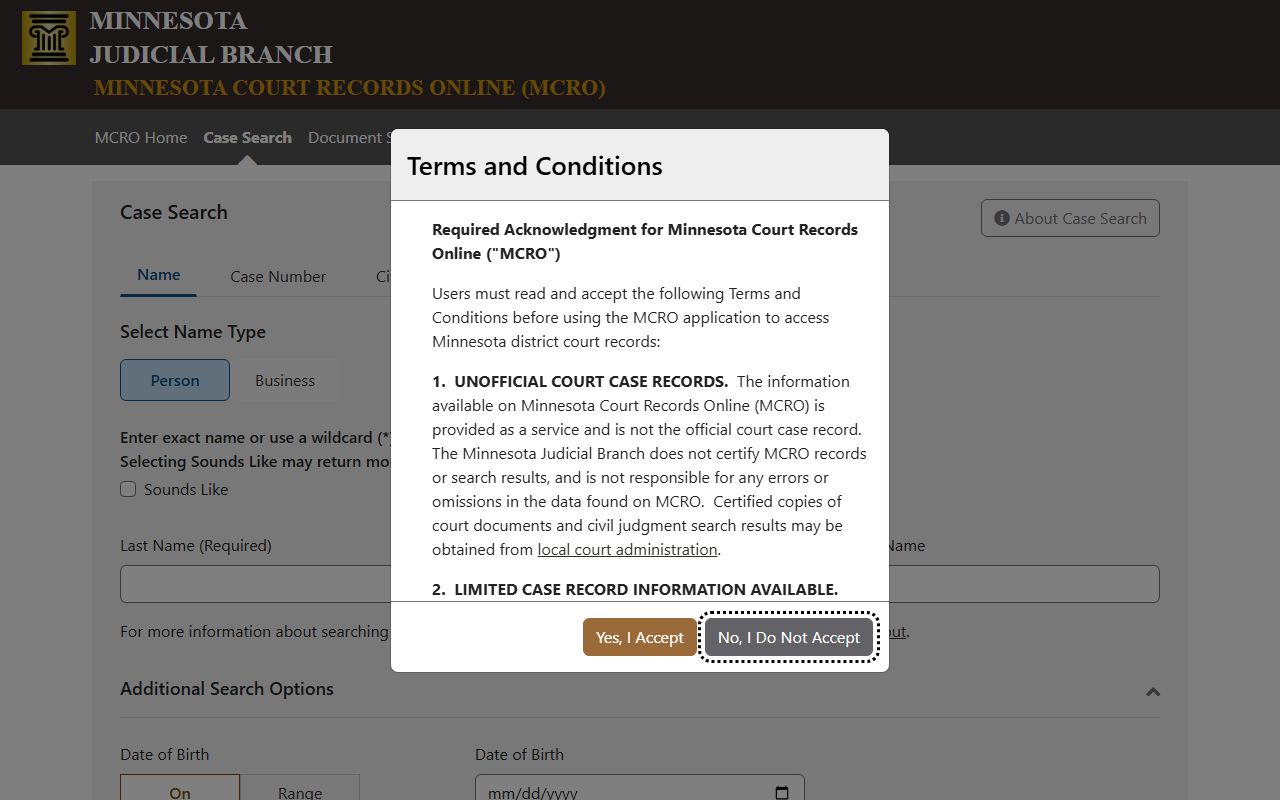 Olmsted County court records case search fields
